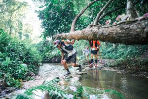 BIB: 
                            <button type="button" onclick="openModal(25439106)" class="btn btn-primary btn-sm float-right btn-popup" data-toggle="modal" data-target=".modal-high-quality">
                        <i class="fas fa-shopping-cart"></i> Add to Cart
                    </button>
                                            <button type="button" onclick="isThisMe(25439106, true)" class="btn btn-success btn-sm float-right btn-popup btn-isme hidden" data-toggle="tooltip" data-placement="bottom" title="นี่คือรูปของคุณใช่ไหม คลิกที่นี่เพื่อเอาเข้าอัลบั้ม">
                        <i class="fas fa-plus"></i> Add to album
                    </button>
                    <button type="button" onclick="isThisMe(25439106, false)" class="btn btn-warning btn-sm float-right btn-popup btn-isnotme hidden">
                        <i class="fas fa-ban"></i> Remove from album
                    </button>